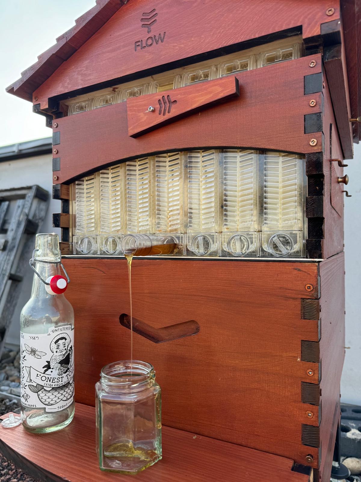 box makers yard bee hive close up